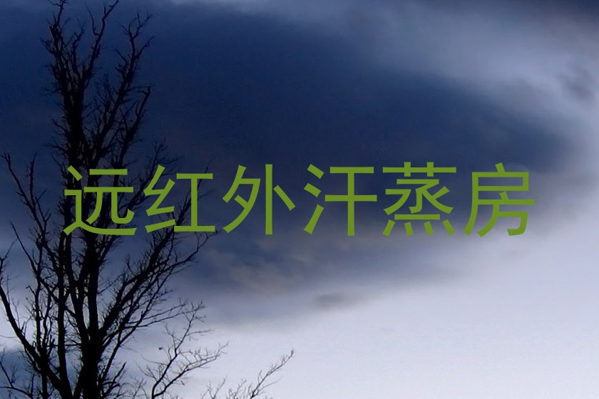 远红外汗蒸房
