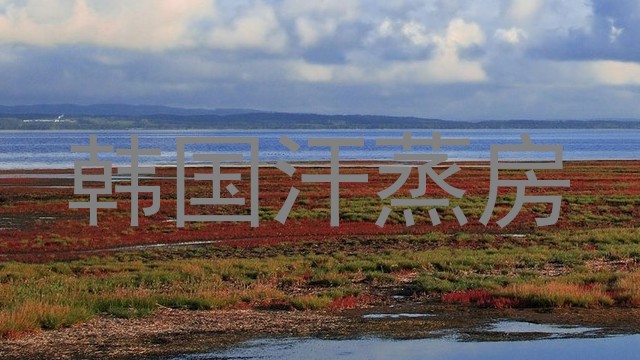韩国汗蒸房