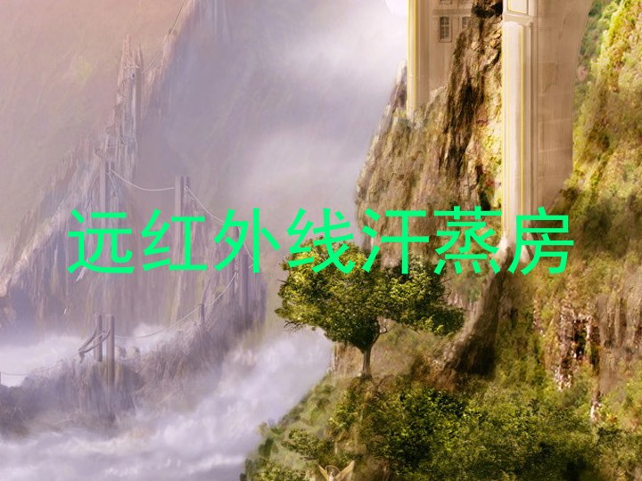 远红外线汗蒸房