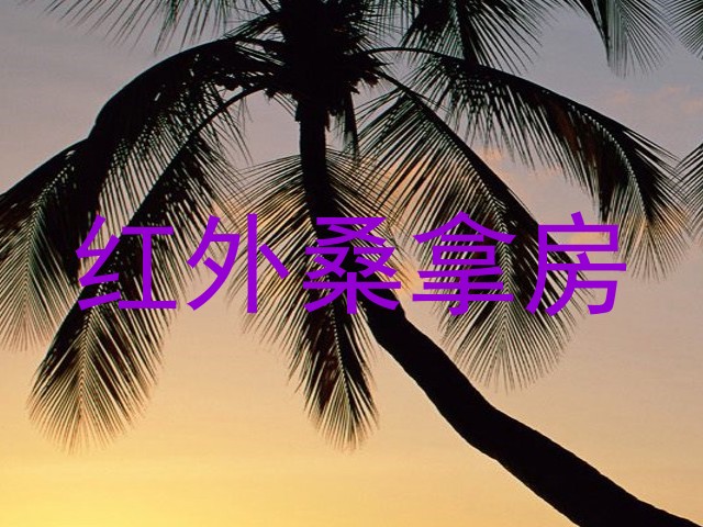 红外桑拿房