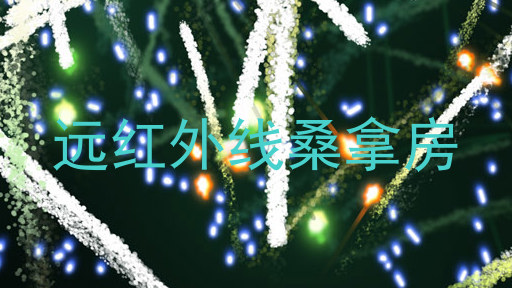 远红外线桑拿房