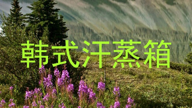 韩式汗蒸箱