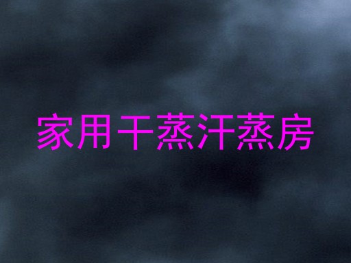 家用干蒸汗蒸房