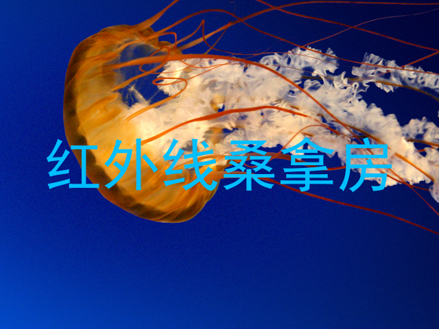 红外线桑拿房