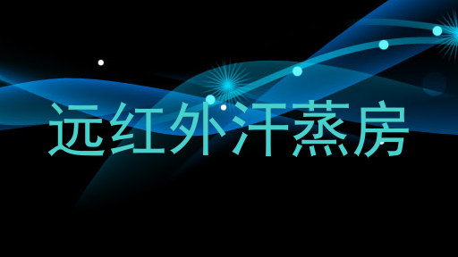 远红外汗蒸房