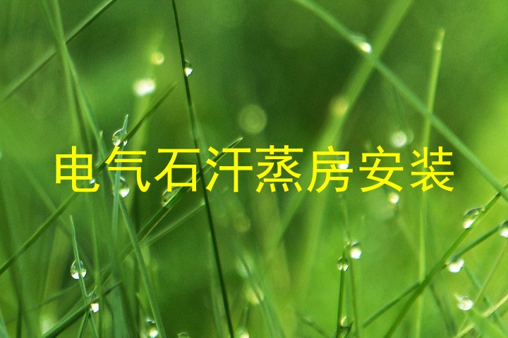电气石汗蒸房安装