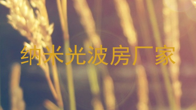 纳米光波房厂家