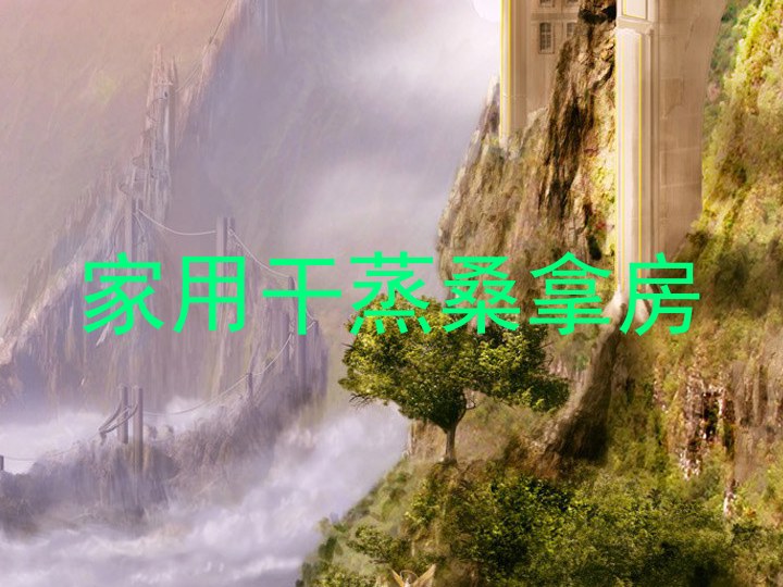 家用干蒸桑拿房