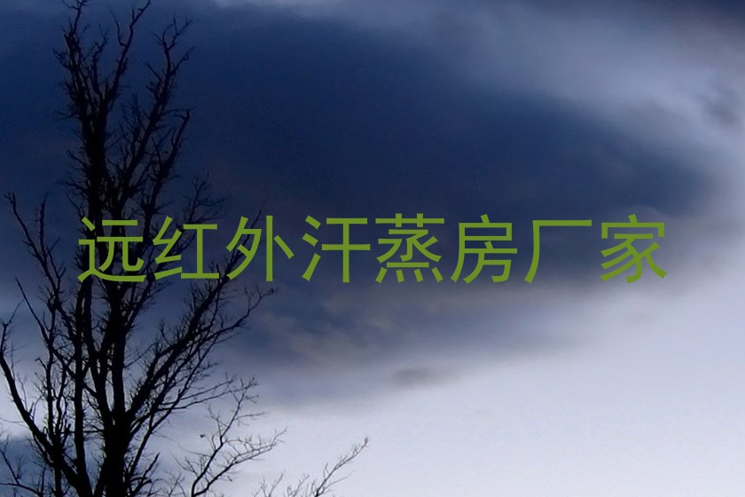 远红外汗蒸房厂家