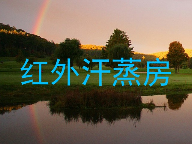 红外汗蒸房