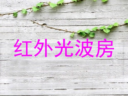红外光波房