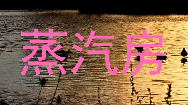 蒸汽房