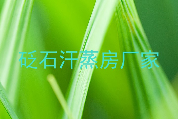 砭石汗蒸房厂家