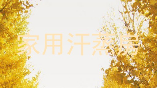 家用汗蒸房