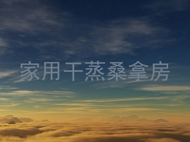 家用干蒸桑拿房