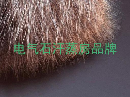 电气石汗蒸房品牌