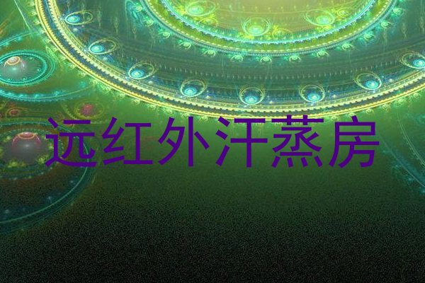 远红外汗蒸房