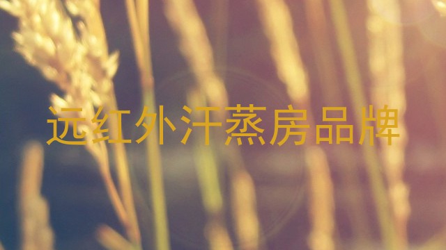 远红外汗蒸房品牌