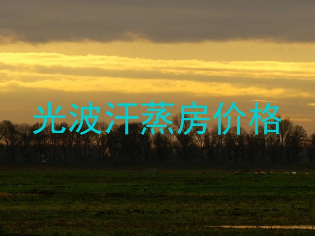光波汗蒸房价格
