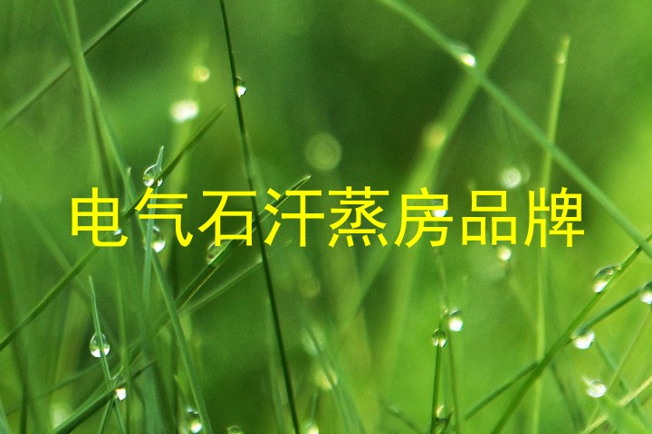 电气石汗蒸房品牌