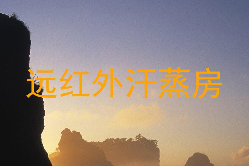 远红外汗蒸房