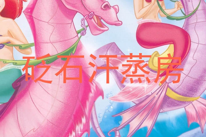 砭石汗蒸房
