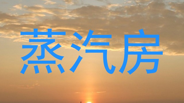 蒸汽房