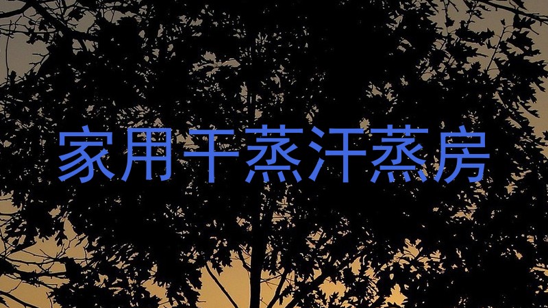 家用干蒸汗蒸房
