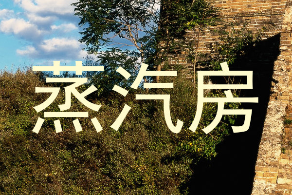 蒸汽房