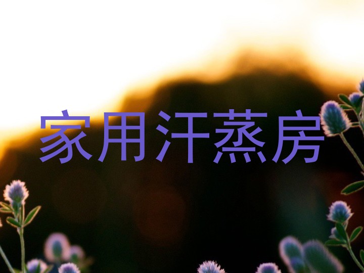 家用汗蒸房