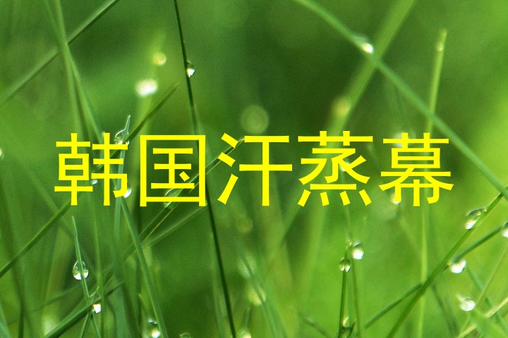 韩国汗蒸幕