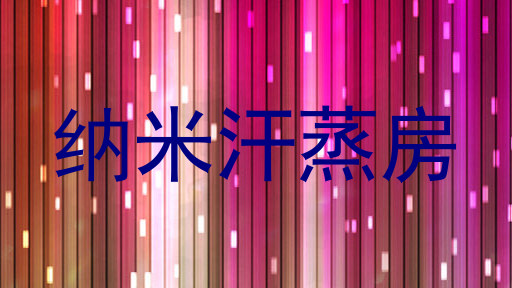 纳米汗蒸房