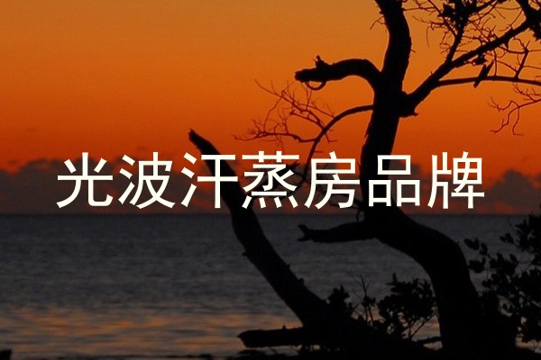 光波汗蒸房品牌