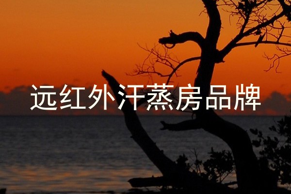 远红外汗蒸房品牌