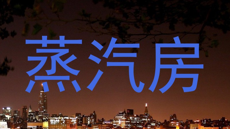 蒸汽房