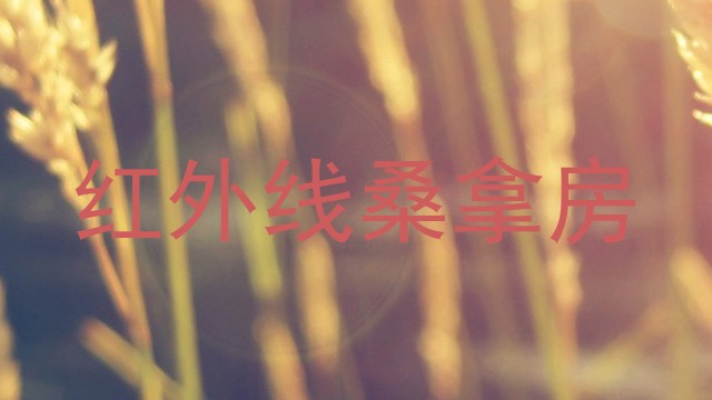 红外线桑拿房