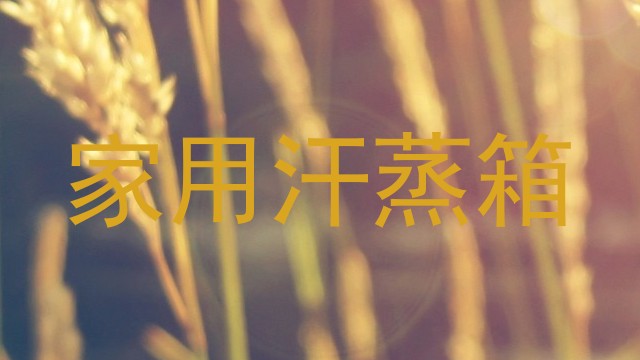 家用汗蒸箱
