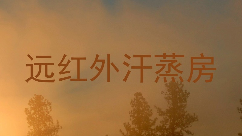 远红外汗蒸房