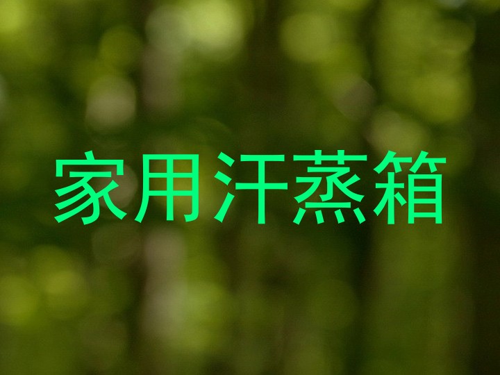 家用汗蒸箱