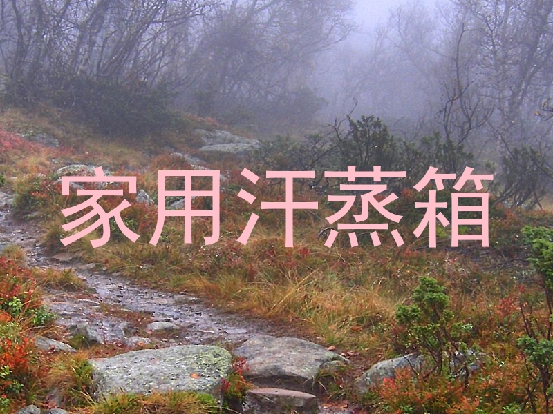家用汗蒸箱