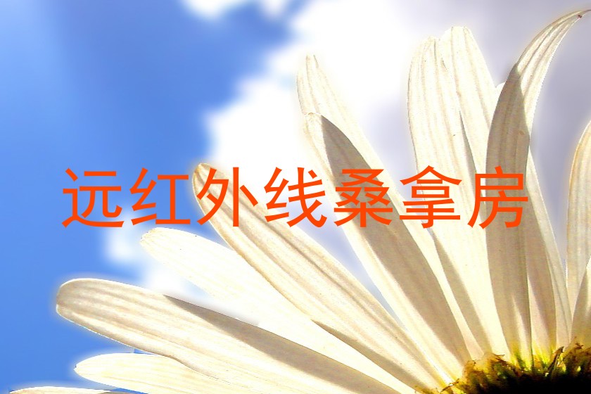 远红外线桑拿房