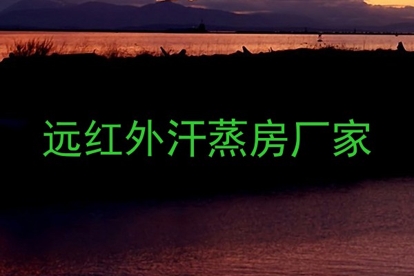 远红外汗蒸房厂家