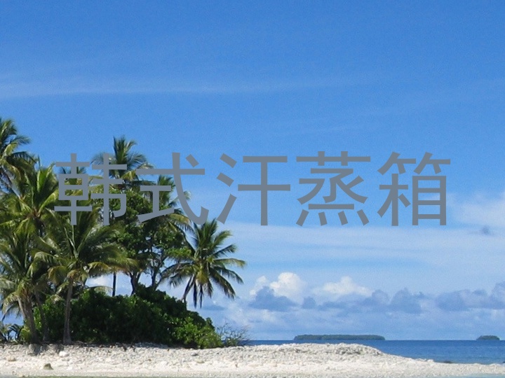韩式汗蒸箱