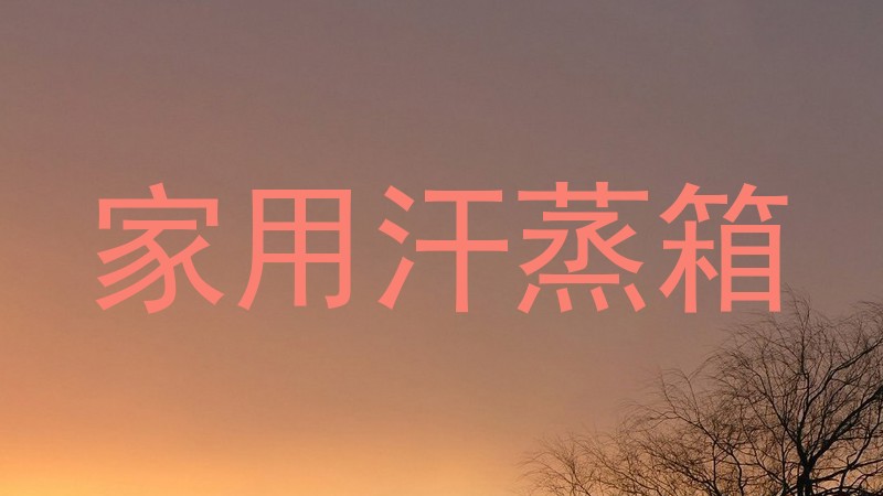 家用汗蒸箱