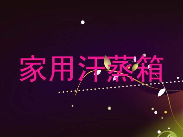 家用汗蒸箱