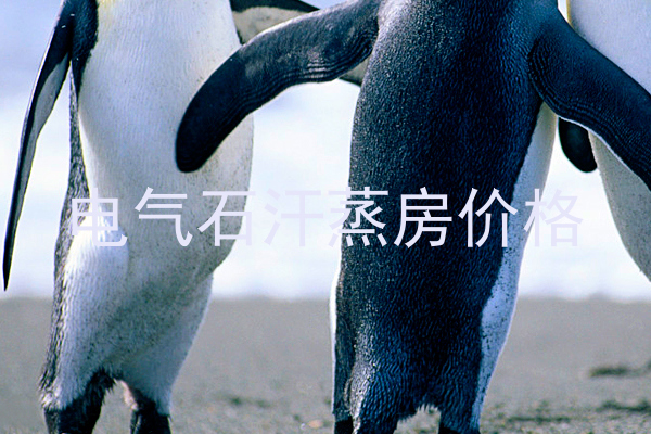 电气石汗蒸房价格