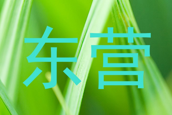 东营