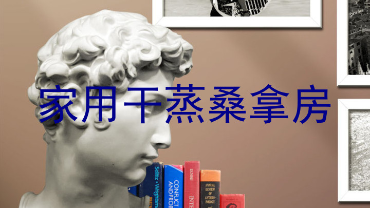 家用干蒸桑拿房