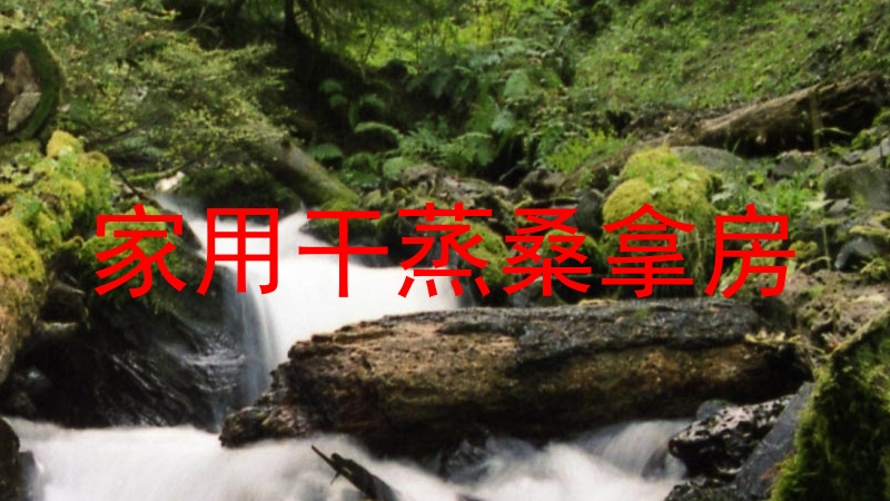 家用干蒸桑拿房