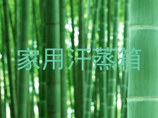 家用汗蒸箱